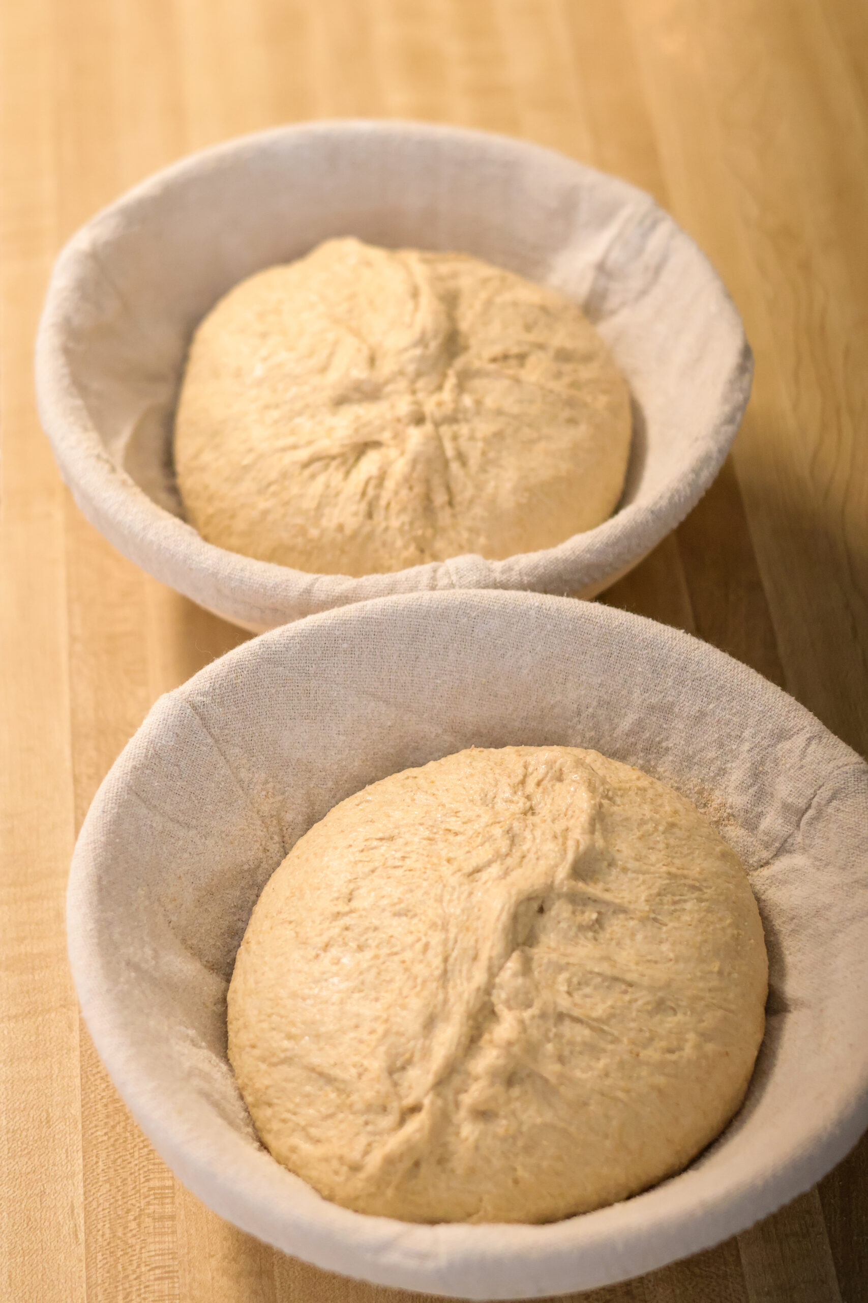 Sourdough in banneton baskets for proofing on counter top