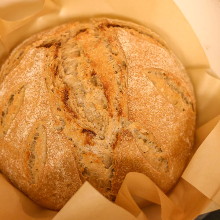 artisian sourdough bread with freshly milled flour in a dutch oven